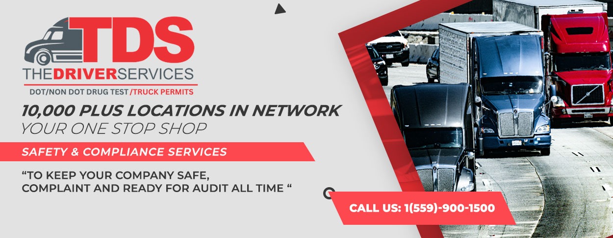 The Driver Services LLC ( TDS Drug Test)